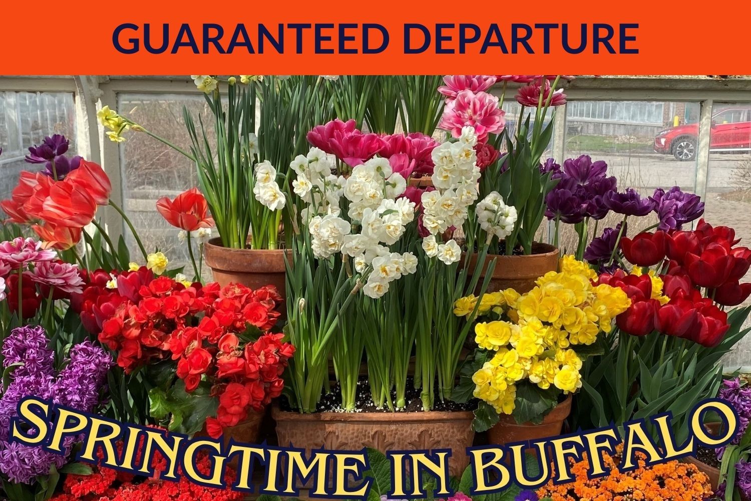 Springtime in Buffalo - Weds., March 25, 2026